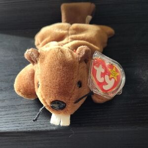 Ty Beanie Baby - Bucky the Beaver - Mint - Errors